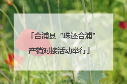 合浦县“珠还合浦”产销对接活动举行