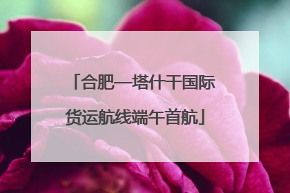 合肥—塔什干国际货运航线端午首航