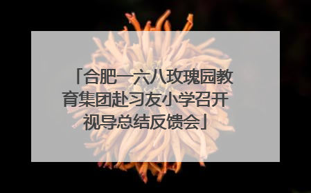 合肥一六八玫瑰园教育集团赴习友小学召开视导总结反馈会