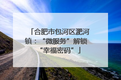 合肥市包河区淝河镇：“微服务”解锁“幸福密码”