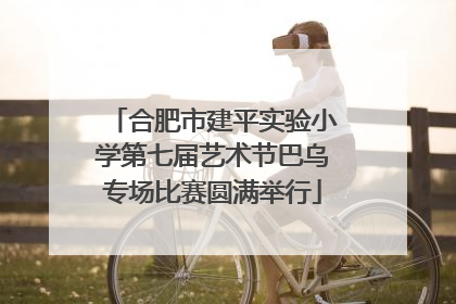 合肥市建平实验小学第七届艺术节巴乌专场比赛圆满举行