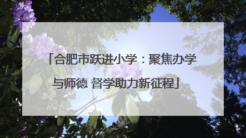 合肥市跃进小学：聚焦办学与师德 督学助力新征程