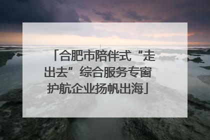 合肥市陪伴式“走出去”综合服务专窗护航企业扬帆出海