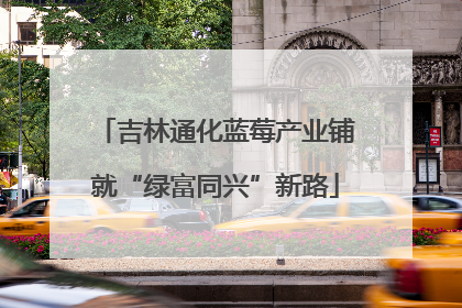 吉林通化蓝莓产业铺就“绿富同兴”新路