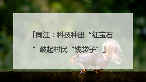 同江：科技种出“红宝石”鼓起村民“钱袋子”