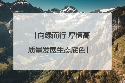 向绿而行 厚植高质量发展生态底色