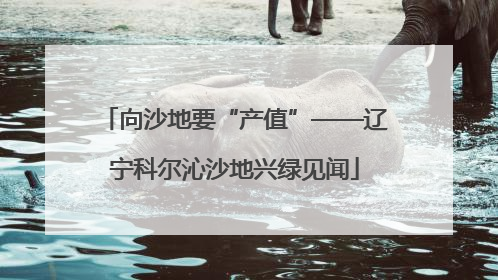 向沙地要“产值”——辽宁科尔沁沙地兴绿见闻