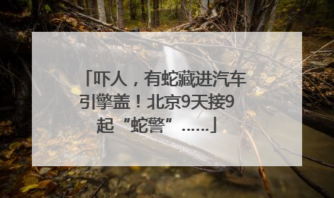 吓人，有蛇藏进汽车引擎盖！北京9天接9起“蛇警”……