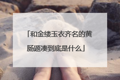 和金缕玉衣齐名的黄肠题凑到底是什么