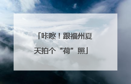 咔嚓！跟福州夏天拍个“荷”照
