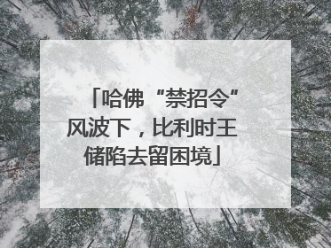 哈佛“禁招令”风波下，比利时王储陷去留困境