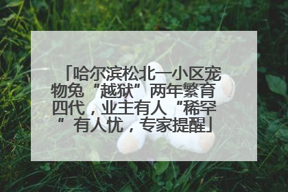 哈尔滨松北一小区宠物兔“越狱”两年繁育四代，业主有人“稀罕”有人忧，专家提醒