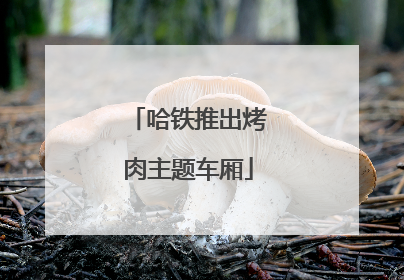 哈铁推出烤肉主题车厢