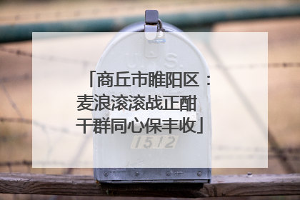 商丘市睢阳区：麦浪滚滚战正酣 干群同心保丰收