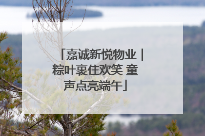 嘉诚新悦物业｜粽叶裹住欢笑 童声点亮端午
