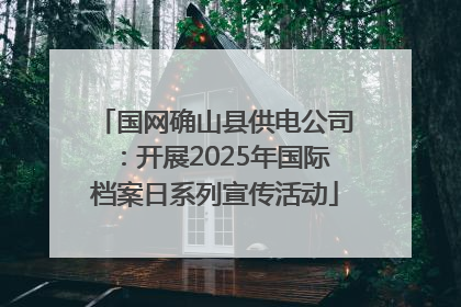 国网确山县供电公司：开展2025年国际档案日系列宣传活动