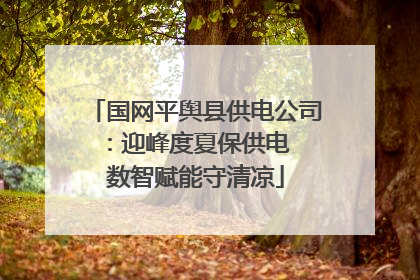 国网平舆县供电公司：迎峰度夏保供电  数智赋能守清凉