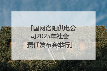 国网洛阳供电公司2025年社会责任发布会举行