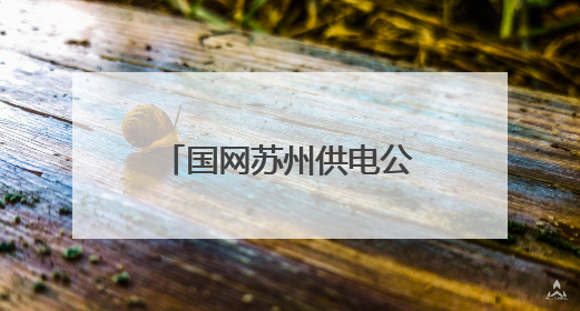 国网苏州供电公司发布2024年社会责任报告