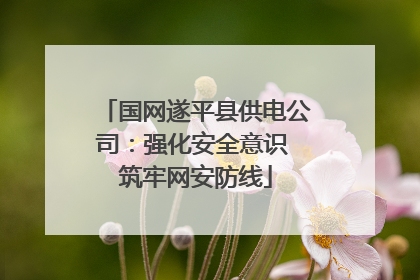 国网遂平县供电公司：强化安全意识 筑牢网安防线