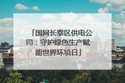国网长泰区供电公司：守护绿色生产赋能世界环境日
