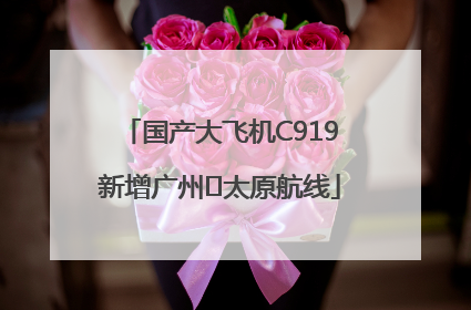 国产大飞机C919新增广州⇌太原航线