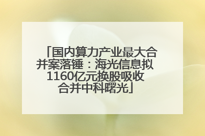 国内算力产业最大合并案落锤：海光信息拟1160亿元换股吸收合并中科曙光