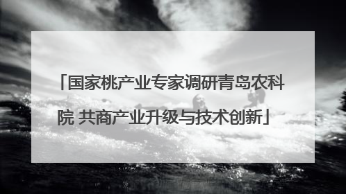 国家桃产业专家调研青岛农科院 共商产业升级与技术创新