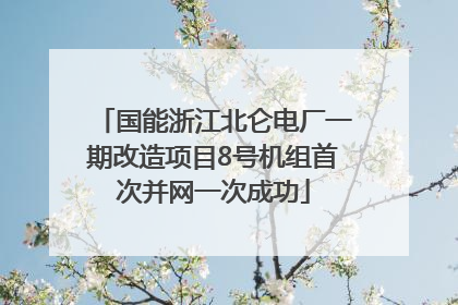 国能浙江北仑电厂一期改造项目8号机组首次并网一次成功