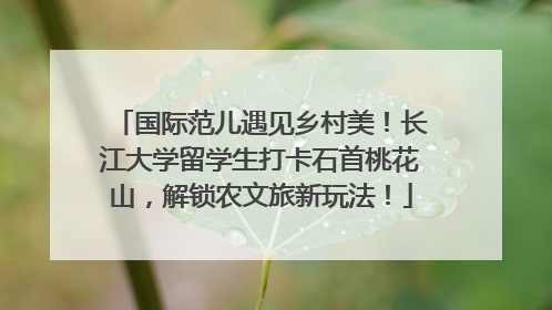 国际范儿遇见乡村美！长江大学留学生打卡石首桃花山，解锁农文旅新玩法！