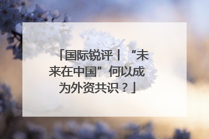 国际锐评丨“未来在中国”何以成为外资共识？