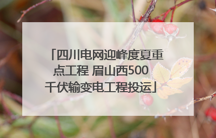 四川电网迎峰度夏重点工程 眉山西500千伏输变电工程投运