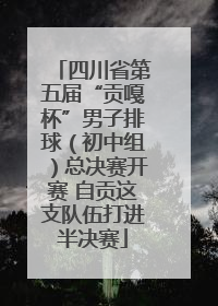 四川省第五届“贡嘎杯”男子排球（初中组）总决赛开赛 自贡这支队伍打进半决赛