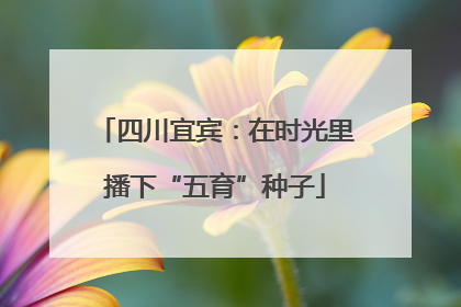 四川宜宾：在时光里播下“五育”种子