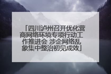 四川泸州召开优化营商网络环境专项行动工作推进会 涉企网络乱象集中整治初见成效