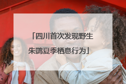 四川首次发现野生朱鹮夏季栖息行为