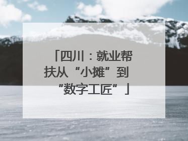 四川：就业帮扶从“小摊”到“数字工匠”
