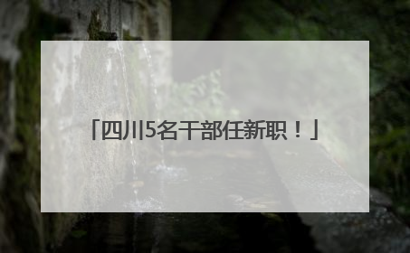 四川5名干部任新职！