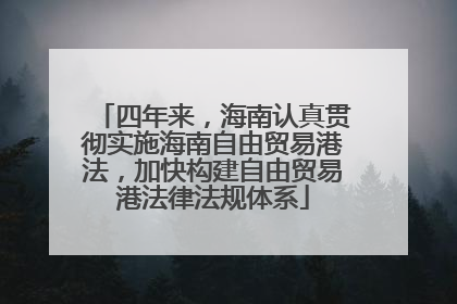 四年来，海南认真贯彻实施海南自由贸易港法，加快构建自由贸易港法律法规体系