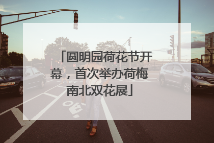 圆明园荷花节开幕，首次举办荷梅南北双花展