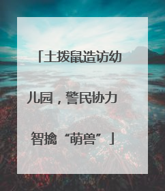 土拨鼠造访幼儿园，警民协力智擒“萌兽”