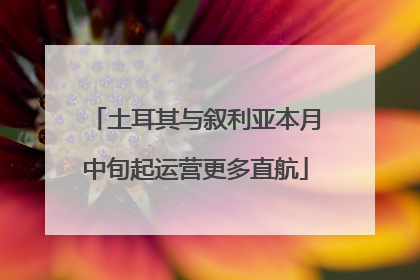 土耳其与叙利亚本月中旬起运营更多直航