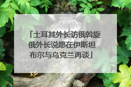 土耳其外长访俄斡旋 俄外长说愿在伊斯坦布尔与乌克兰再谈