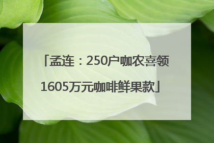 孟连：250户咖农喜领1605万元咖啡鲜果款