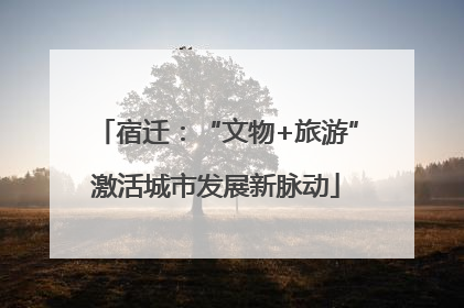 宿迁：“文物+旅游”激活城市发展新脉动