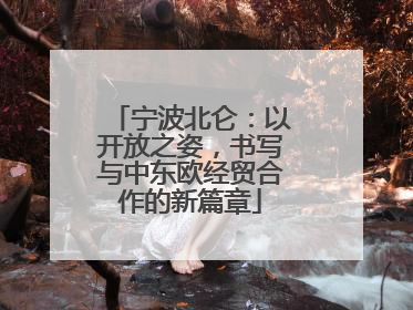 宁波北仑：以开放之姿，书写与中东欧经贸合作的新篇章