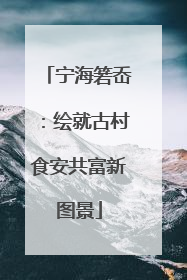 宁海箬岙：绘就古村食安共富新图景