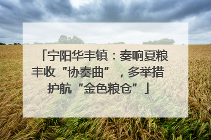 宁阳华丰镇：奏响夏粮丰收“协奏曲”，多举措护航“金色粮仓”