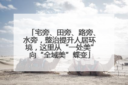 宅旁、田旁、路旁、水旁，整治提升人居环境，这里从“一处美”向“全域美”蝶变