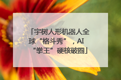 宇树人形机器人全球“格斗秀”，AI“拳王”硬核破圈